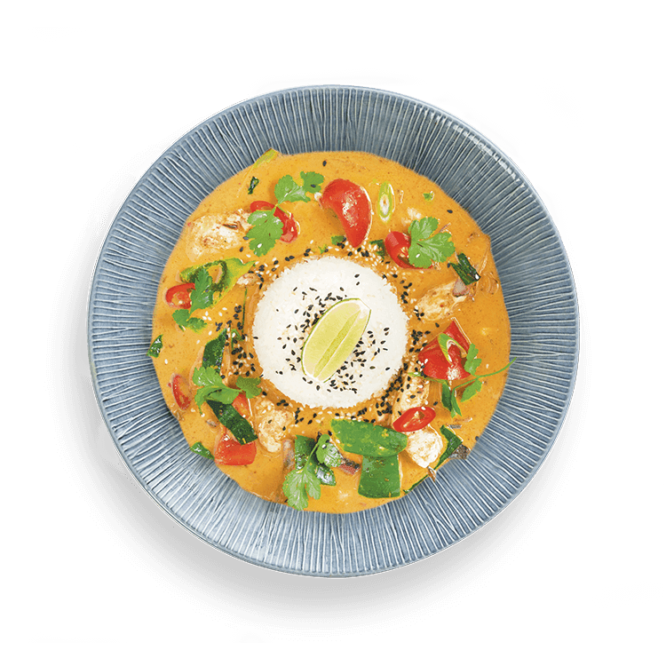 chicken raisukaree curry